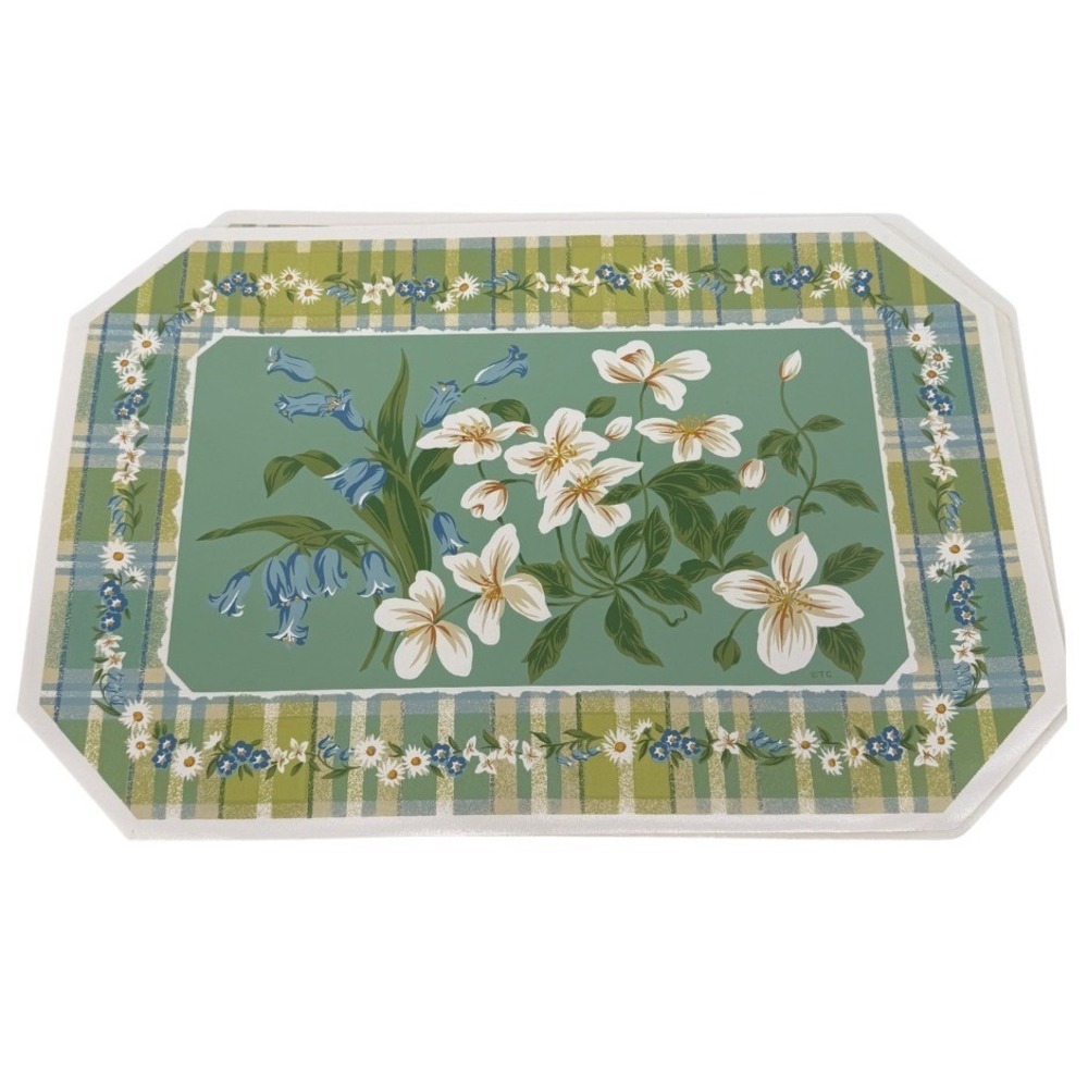Essential Home Vinyl Placemat Shenandoah Floral Plaid Blue Green Set of 3***